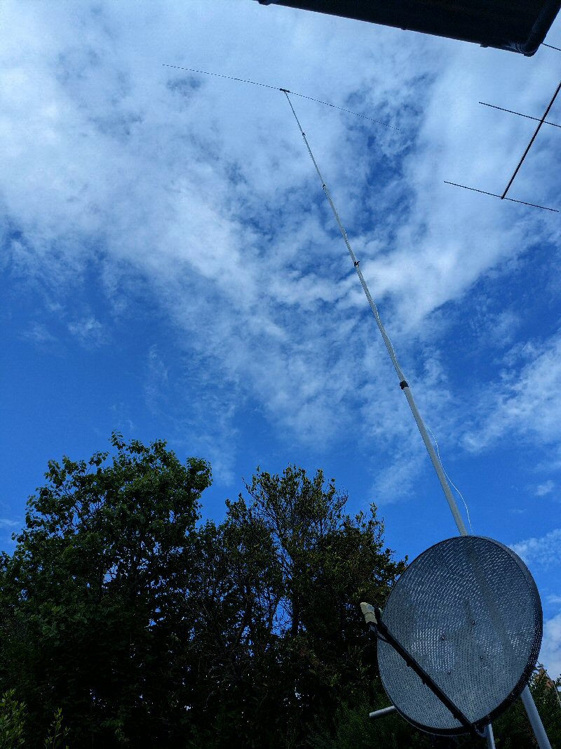 10m band dipole photo