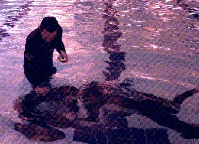 in the pool