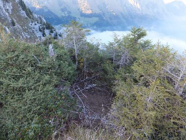 alps landscape