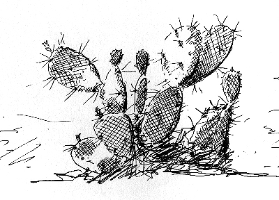 Cactus, Carriacou