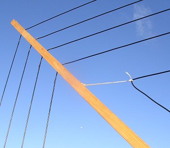 portable antennas