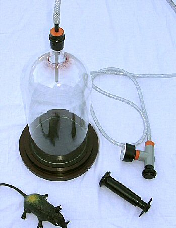 bell Jar