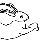 J P Hare