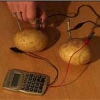 potato battery
